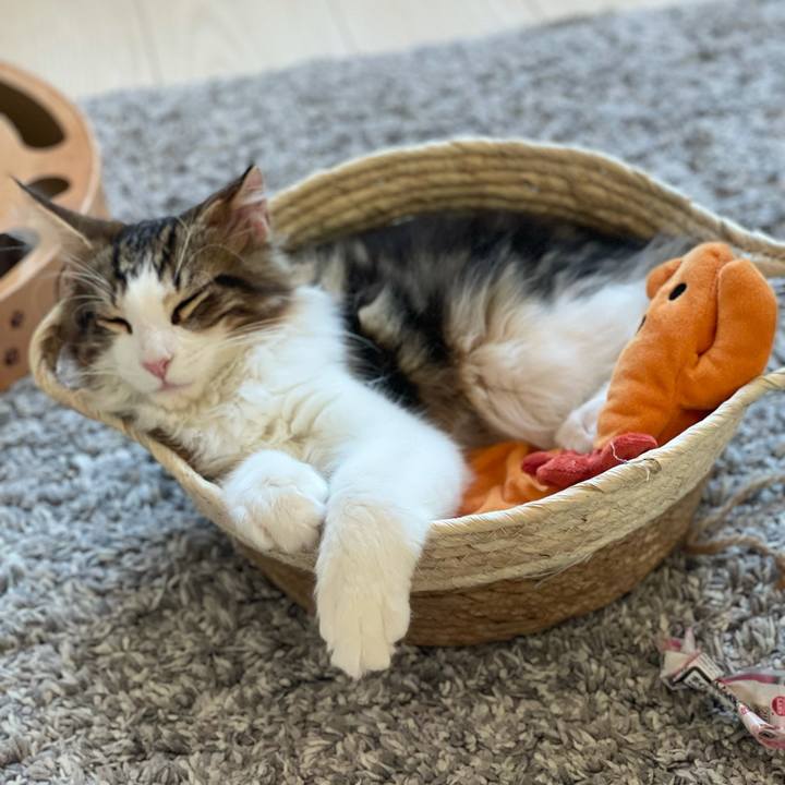 8385c52a 53dd 48fe 9be4 0df70edcd548 1635031252130