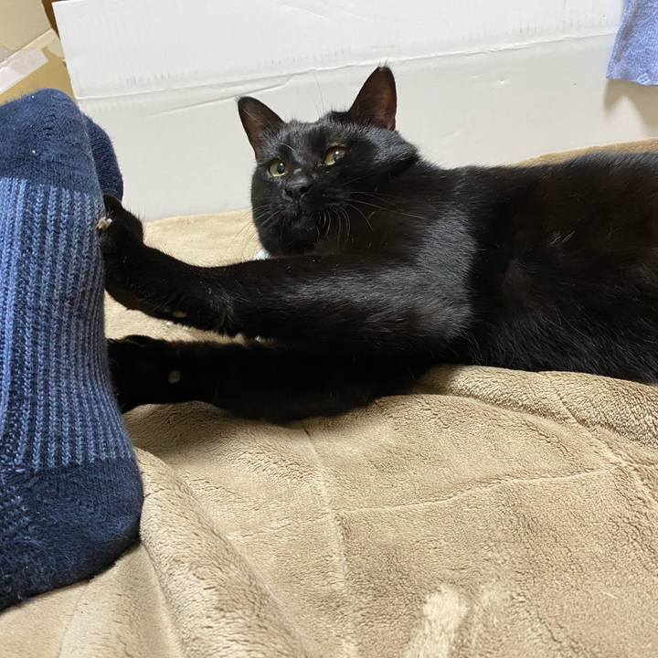 8385cd6e 78fb 48a3 a792 bdc41c9eada4 1607778720338