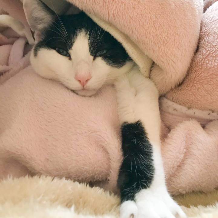 8385e5d9 ff1b 4cf0 8ab8 aca9fb672cdd 1519345306402