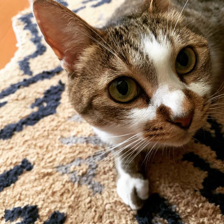 8385ed98 4601 4ef8 b6af d77872b7d381 1565274394005