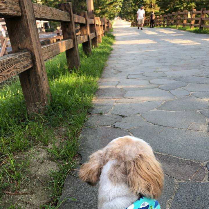 83860fdc a8c8 478c af6c e64d93e8fbf1 1597960082011