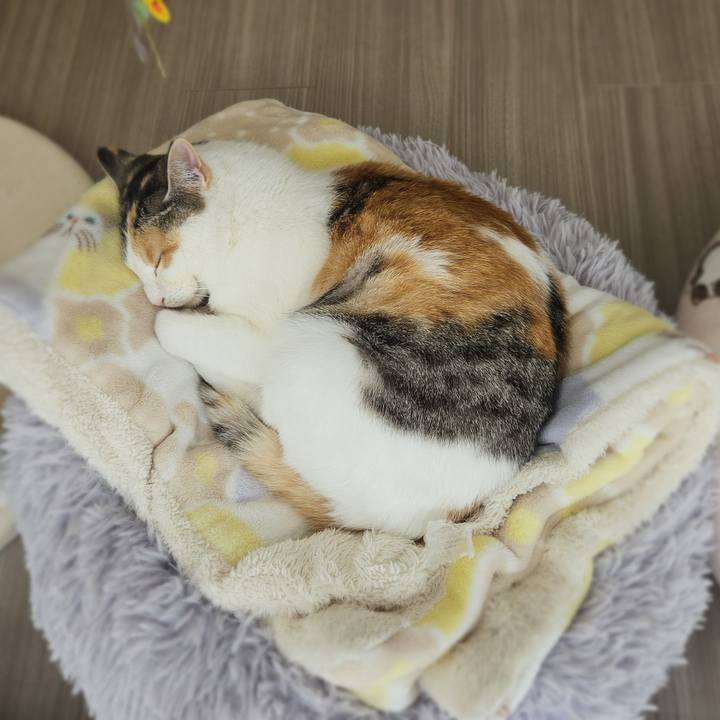 83862516 c960 4743 b0e1 af980d69616c 1774841523036