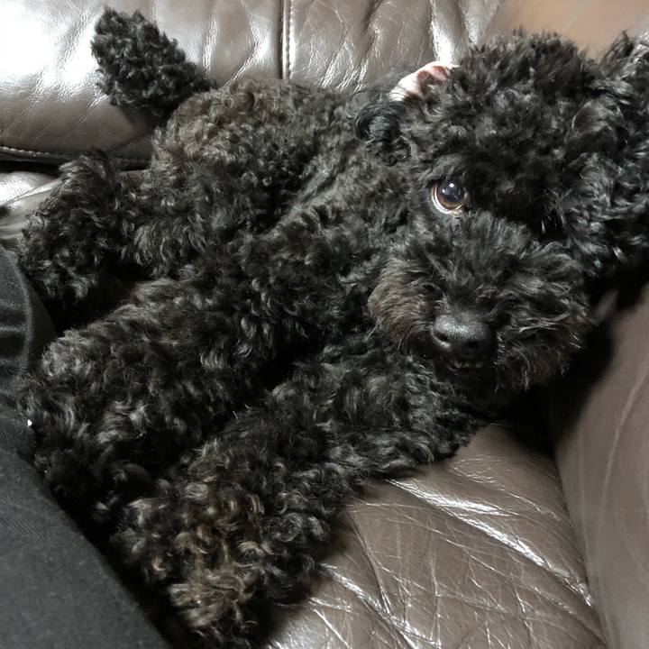 83862d5e 8e8b 49cc 8124 8e3e2b430a1b 1537667582580