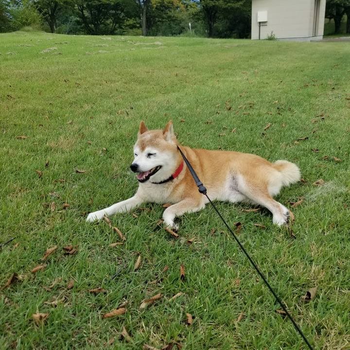 838632b7 3ee5 426b bf8f 064cb283fb36 1725347238647