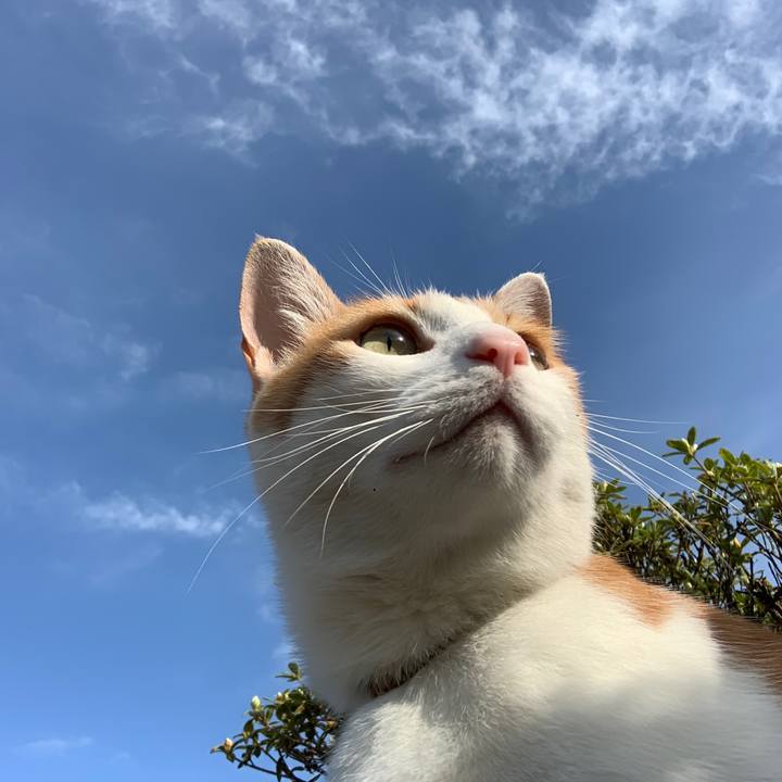 83863c5b 3dc8 4f4e 991c 46831859fa3e 1619822369603