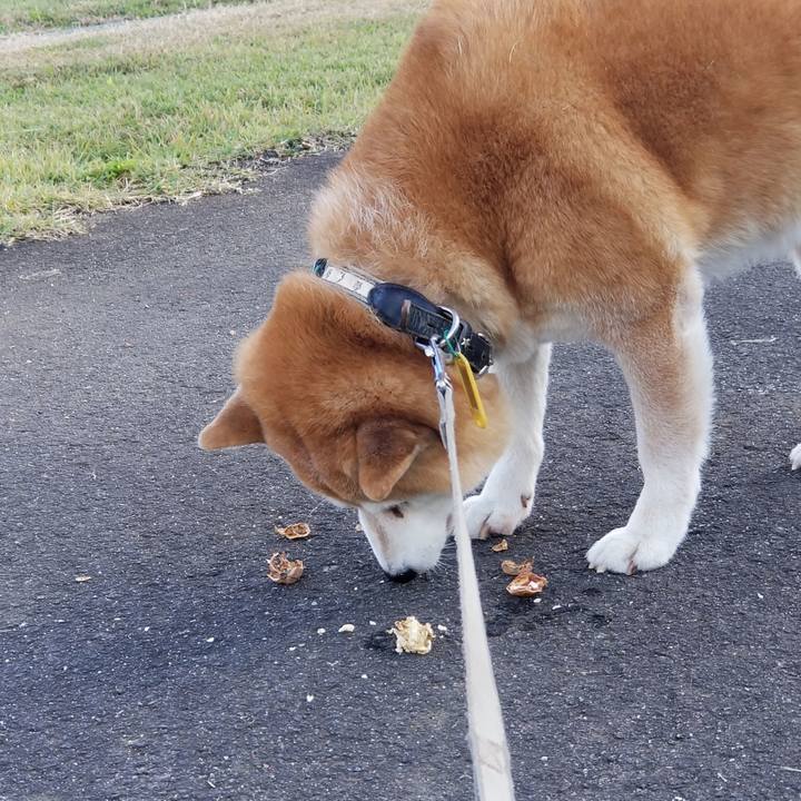 838656b7 5a08 420c ba68 fae4f82b5ea7 1634889043653