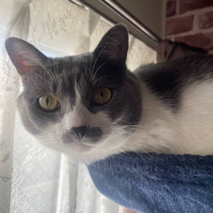 838683ba e5ef 4227 90fc 044afd835d19 1700522634311