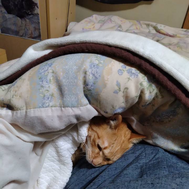 83868b43 b1b3 4df3 bfc6 6157dc14bb12 1672920030759