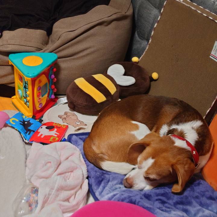 83869e42 b929 4d03 899a 6582704961f5 1671099965295