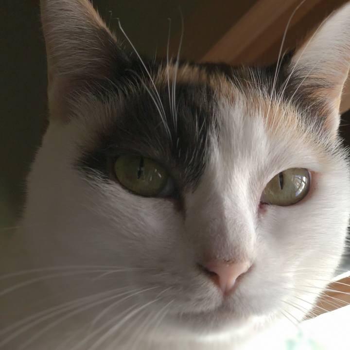 8386a69c 3dde 45f6 855d cd4c9561779a 1538793714993