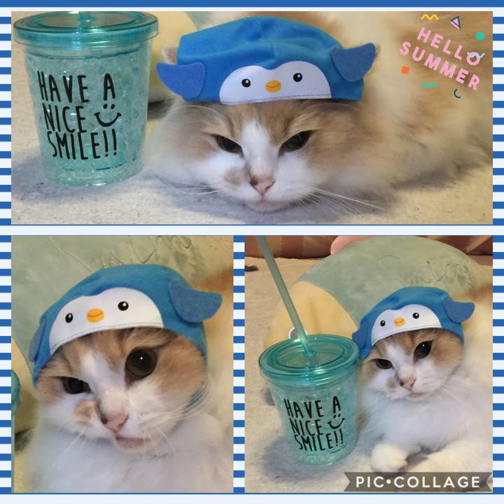 8386c114 6ee0 4141 992c 75d56eea72a0 1532580684716