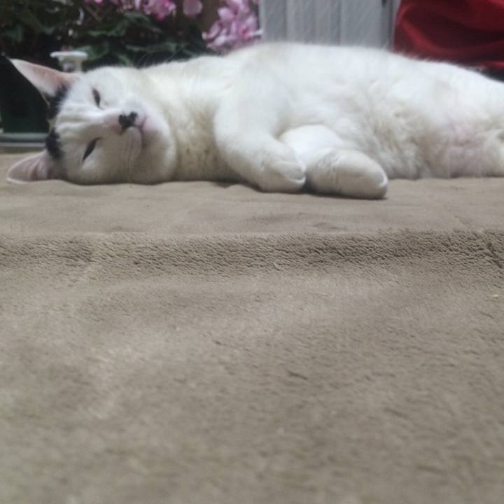 8386c33d 07bd 49ee 91e0 5e9a0f67cae4 1521214597180