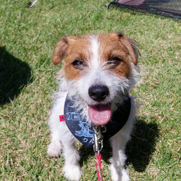 8386d221 ad11 48da a4c2 83e65cabef2b 1537746979387