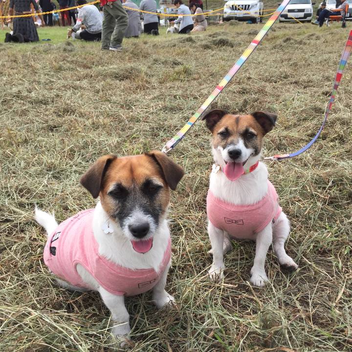 8386e068 d9dc 4699 b454 e76de9a6ccb7 1539408828791