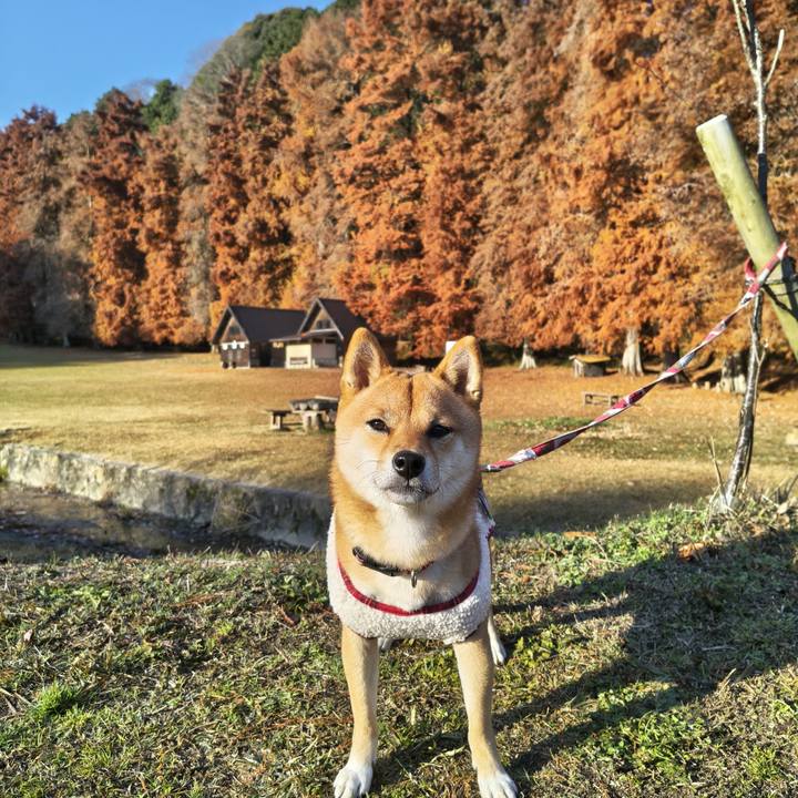 83872857 a247 4902 83d8 5275a24e79b2 1765065125493