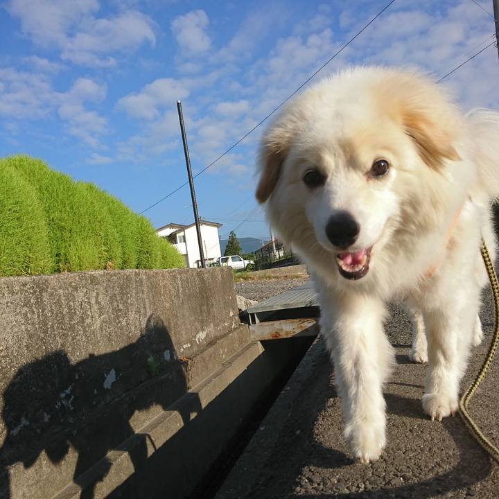 83872874 8b9c 404d 84c0 19387767d265 1532863978422