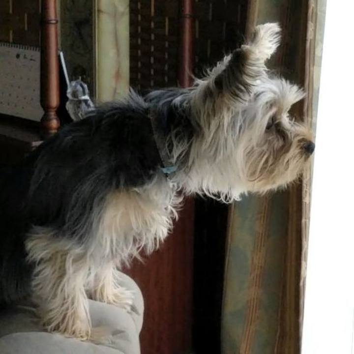 83874856 74ec 4f4b 8d2f 78d4b46b8ef4 1548062527206