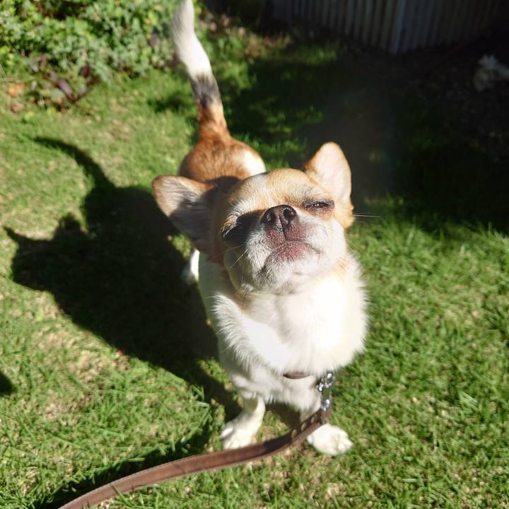 83874ed4 2fd8 4c03 b03f 61f3a6330b5d 1686956612371