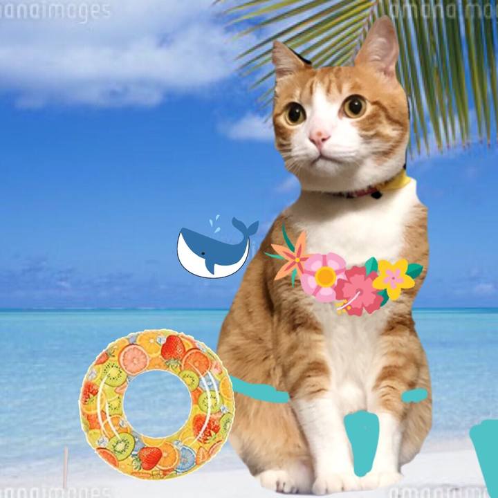 8387685b e759 40fb a132 8bc85e7f0cbe 1565607987337