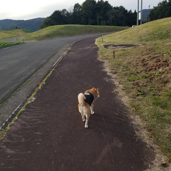 838773d6 2812 4b8d 9a93 86d6d4ecf7a5 1730357442468