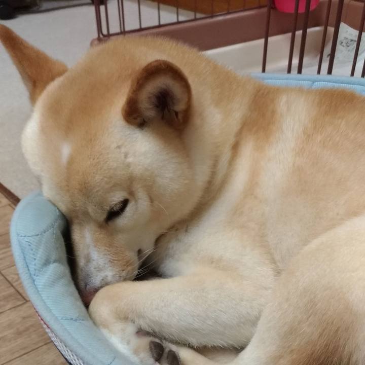 83880f44 e6cd 4a07 9100 a5cfa72d0e98 1560943705623