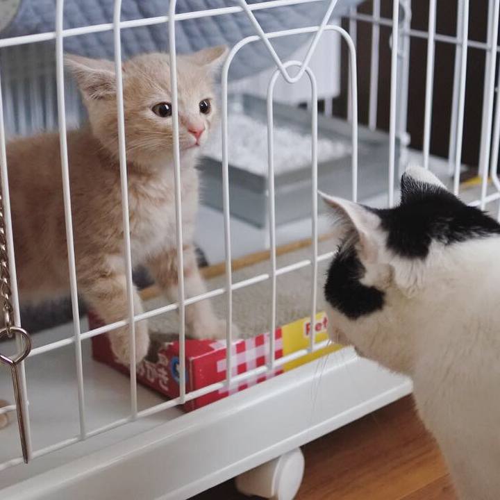 83884e05 1827 4981 ad77 28b9a9bad230 1542108029084