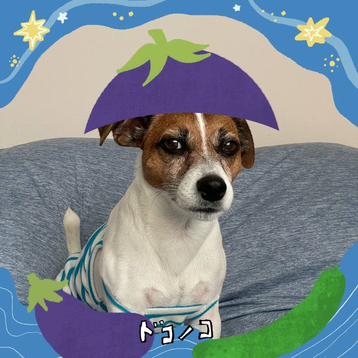 83884f95 6c8d 431c af9f 4b370294f131 1755089470679