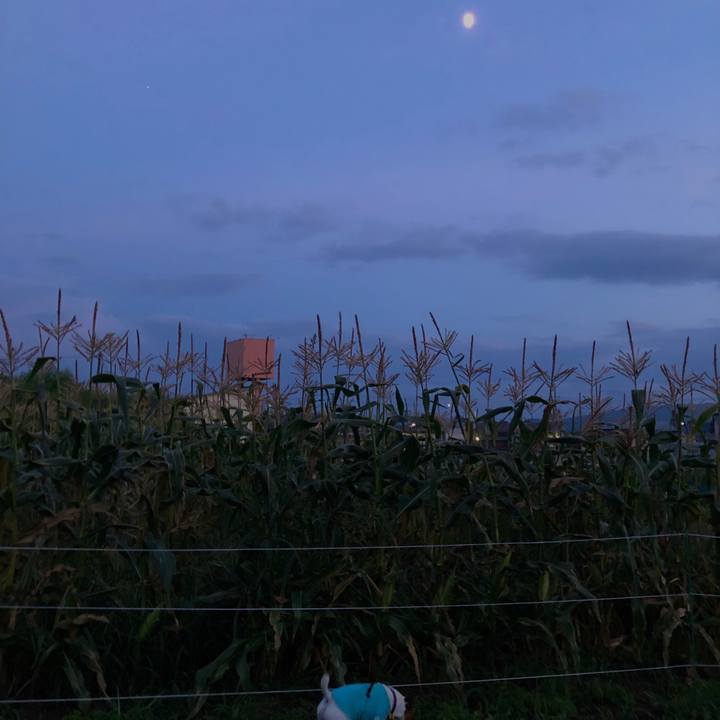 8388666d 4baa 45d4 bfba 00c8e14a3625 1598528242638