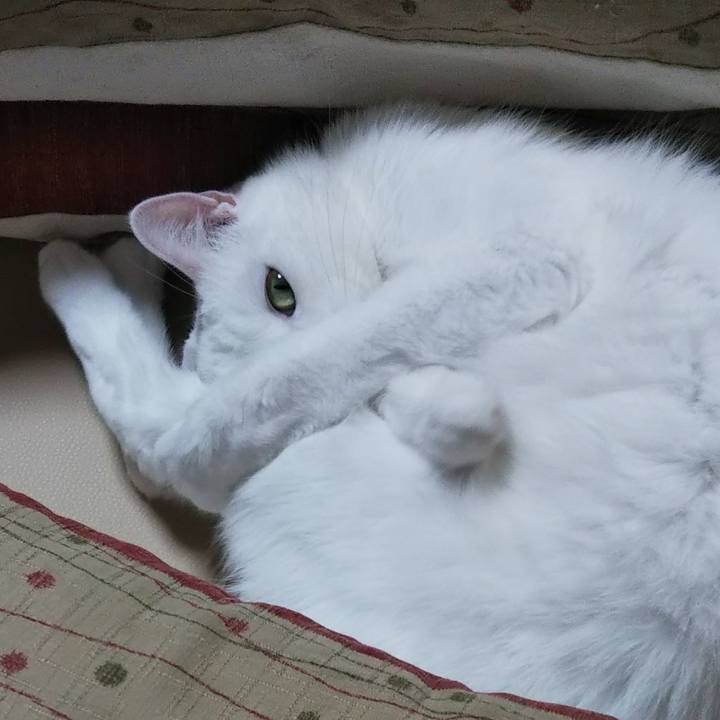 838876d4 052f 41c5 876f a0aff40d7bce 1666486147703