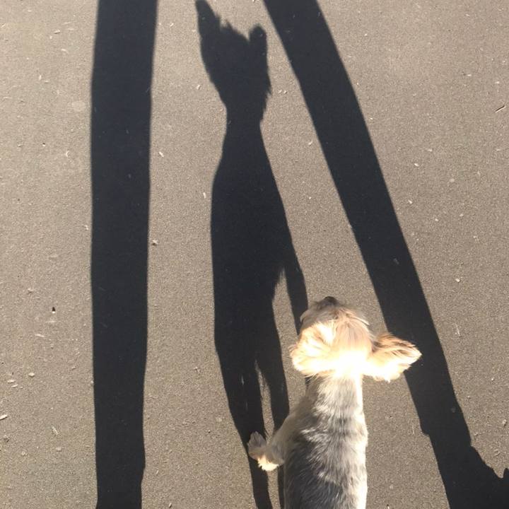 8388770b b50d 4de7 8f14 2c03ee422cee 1598263668867