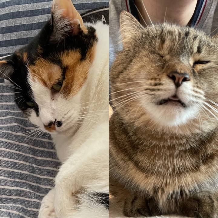 838888b9 e04f 4097 b67d dc409bb048e8 1618997657050