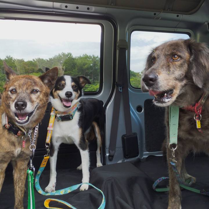 83889807 3adb 40ff b1d7 92e57934c21a 1716009942882