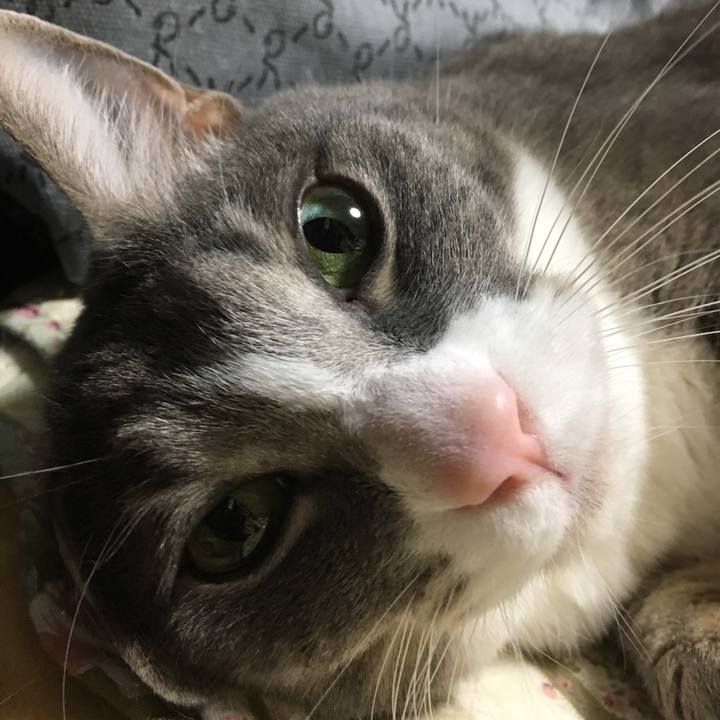 8388abb3 6491 4848 b6d5 84561cbe7c31 1555079090551