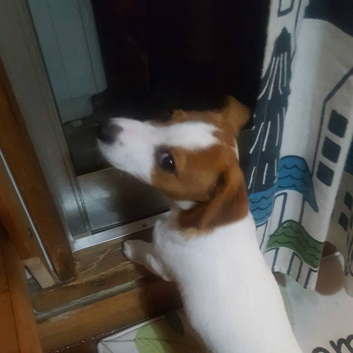 8388d9e5 d899 48c4 b647 f8cac59806a4 1551100313188