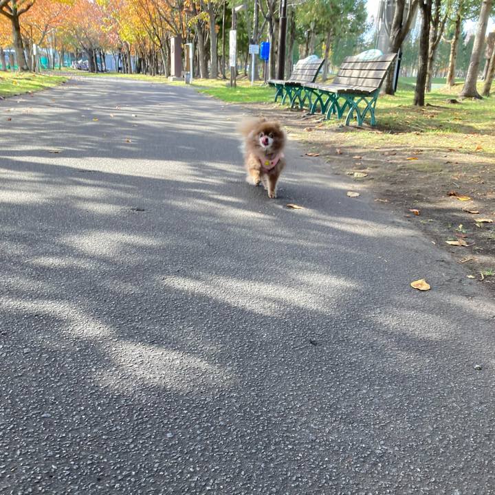 8388eb56 1732 41a2 b1b9 3cb6b27cbf64 1667794485603