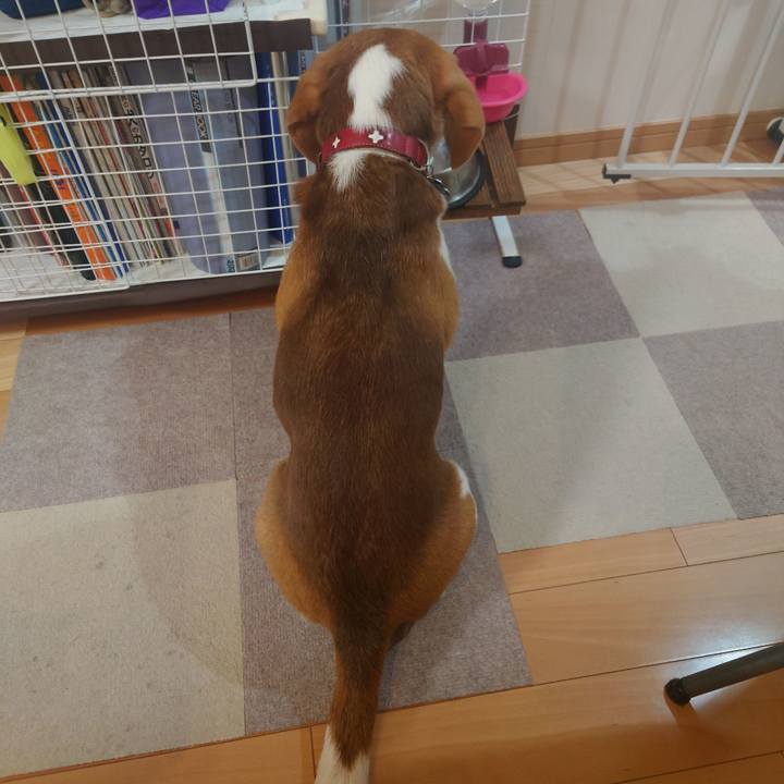 83891a57 3ae0 45bb 8382 ff3fc0a27c23 1720261282392