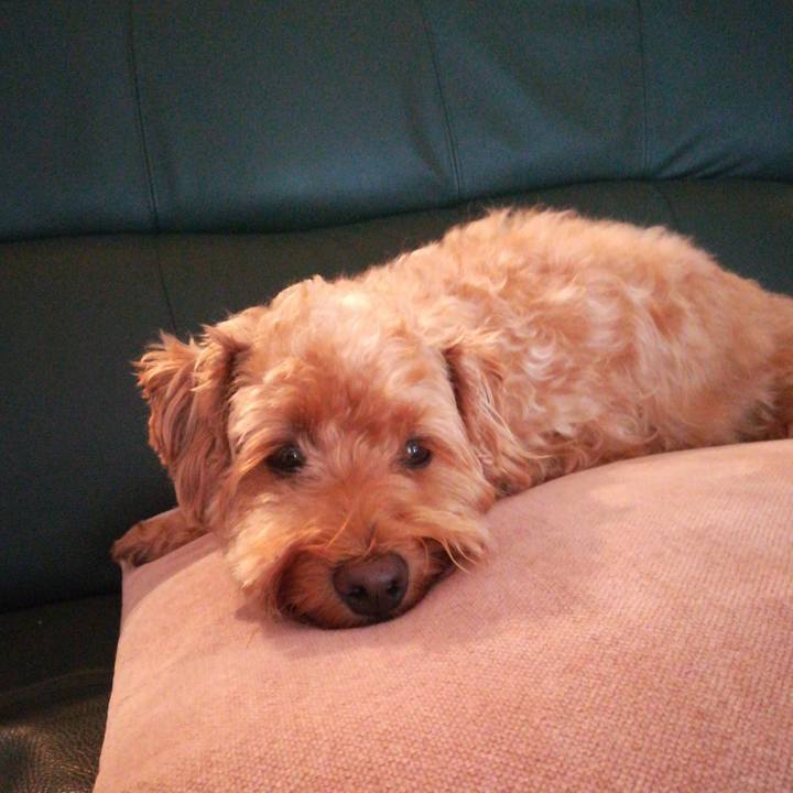 8389266f 60ba 4ba3 88ad 8160a482d76f 1533942077978