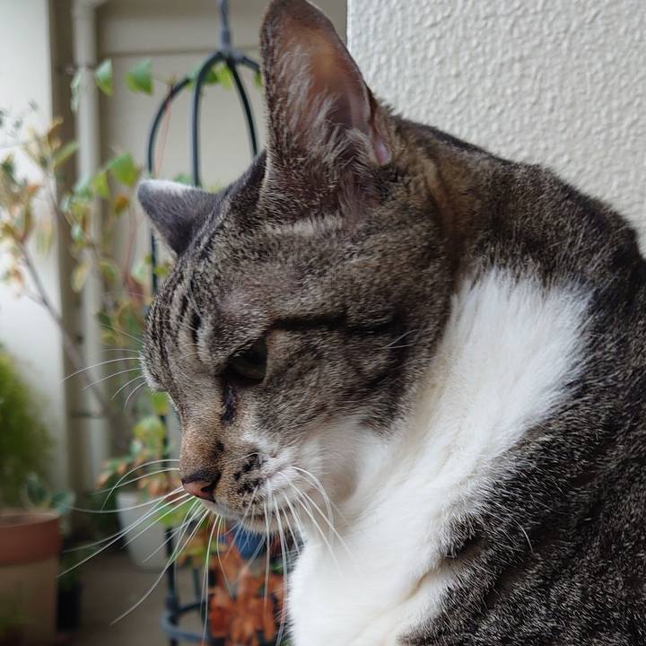 83897d4a 18f2 417c be11 88ffe1492513 1666828882088