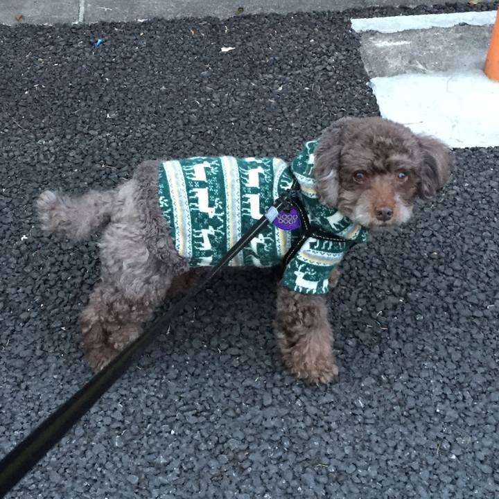 838984e8 21a2 4c14 a03a 4ecb4fdedcf8 1517716967847