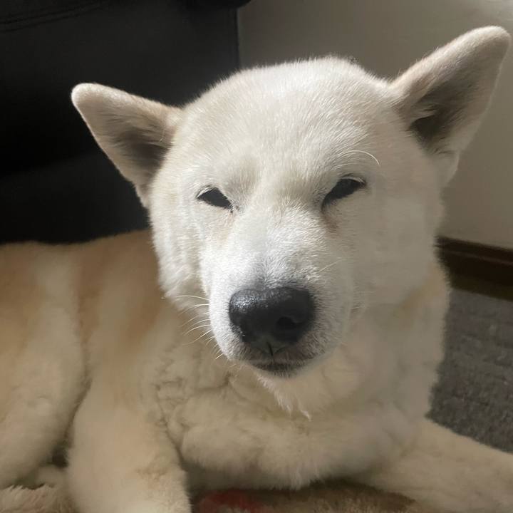 8389b78b 794c 4d69 80da b00f1e623f3e 1710758764076