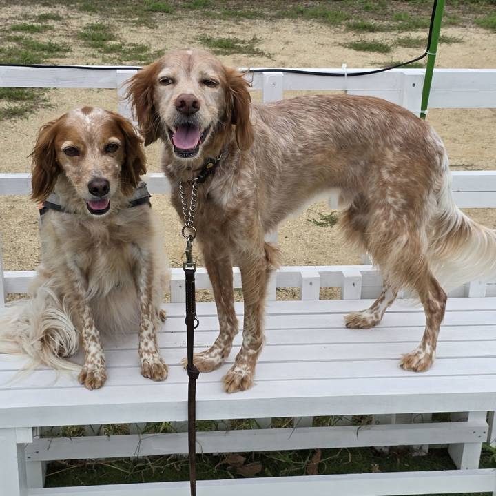 8389c2cd 50ae 4eed 94dd dfc5a4100f6d 1727656632882