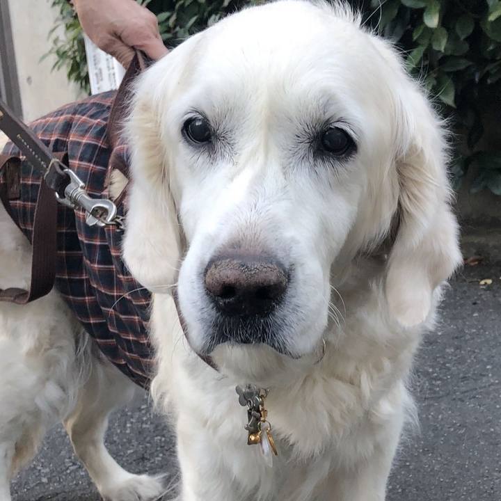 8389d5ed fdd1 4c91 a995 bef3d888630b 1761567774014