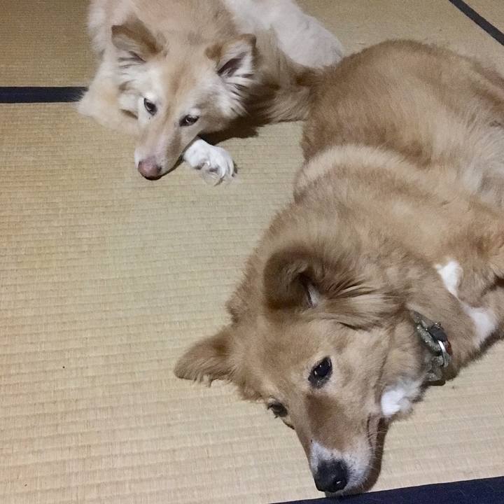 8389fb60 1693 4e38 bd55 5d20fbedb96f 1558784112629