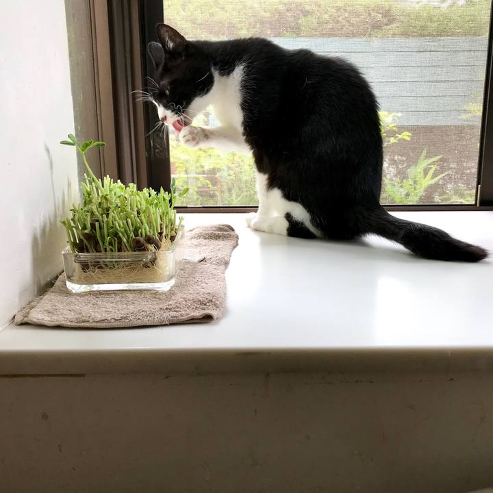 838a0a91 d34b 4bba 98c8 ddd45d6bdc70 1561610825499