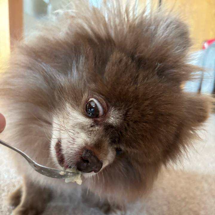 838a2241 46d1 4b9a 8c51 29bdee6d87e2 1745128131468