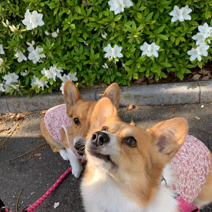 838a30a6 75a2 46a3 98d0 ede1b31ebb6d 1586848326292