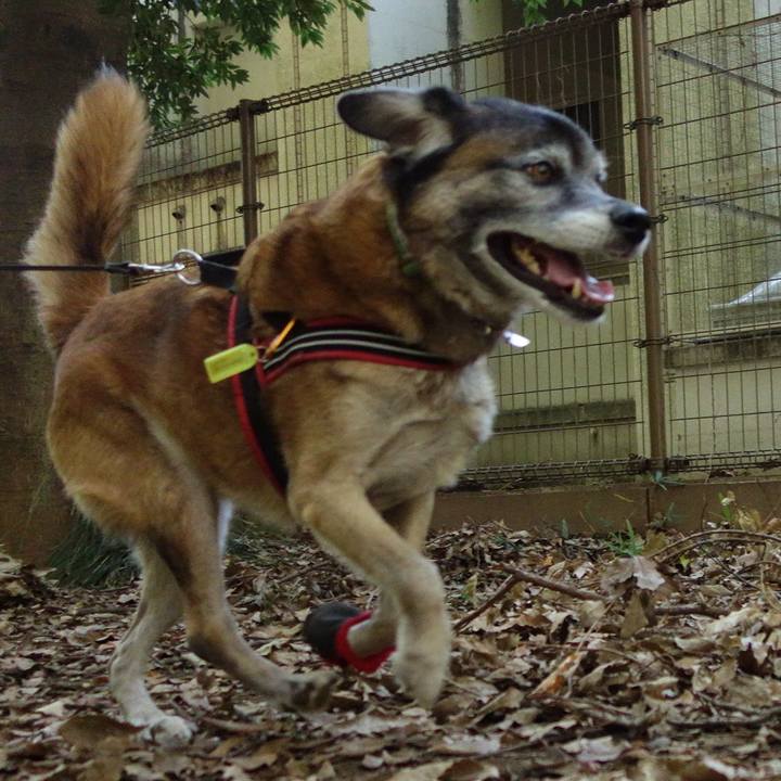 838a3707 9228 448a b0c6 cfd850f305dd 1541206212648