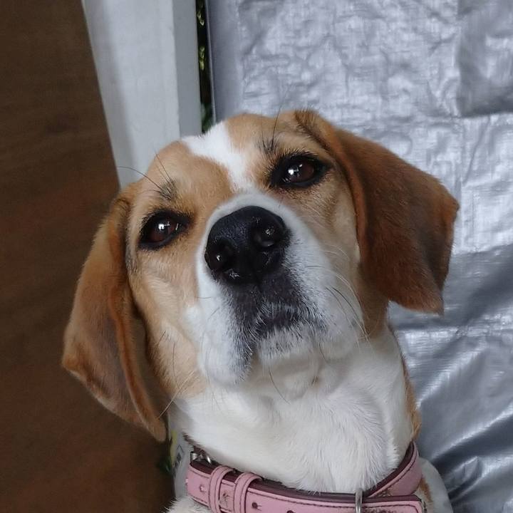 838a688e 0aa2 423d 8bda 61c129361c93 1602037852381