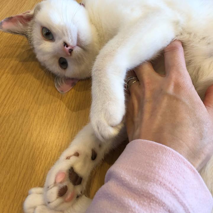 838a8742 4229 49a3 b7f7 1a0d74d98179 1549375132411