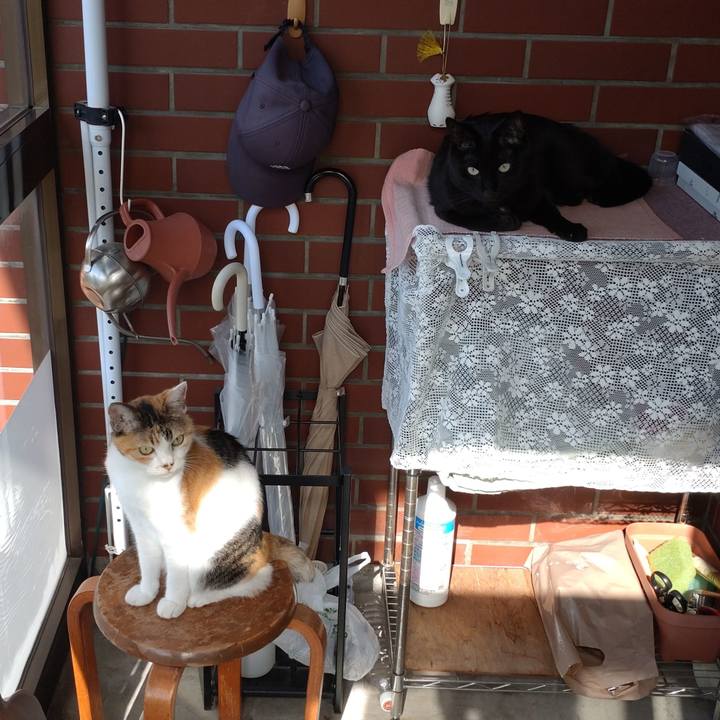 838a8d8e 406b 4eae bdec 4788c7469368 1757912766076